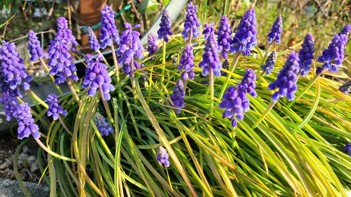 3月9日(水)令和4年度 大阪府立牧野高等学校 入学者選抜 学力試験が無事に終了しました。