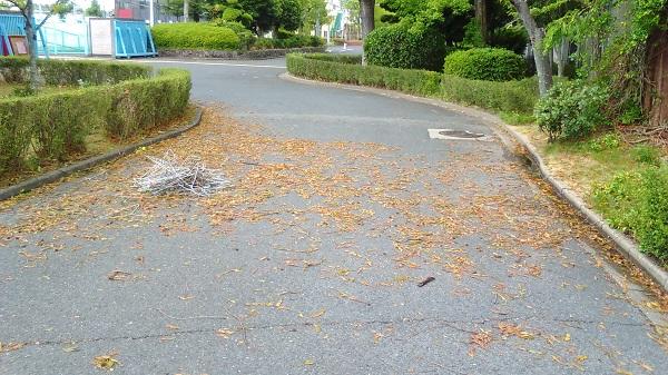 7月30日(月) 台風12号通過による被害状況 ~カラスの巣も落ちてきました~