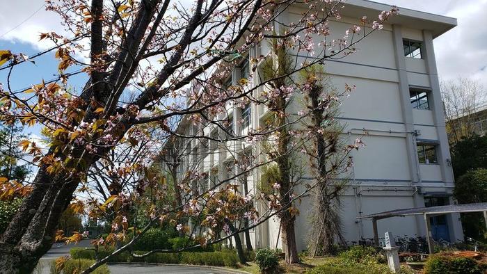 4月11日(木)正門前で挨拶~剣道部が早朝から近隣で落ちているゴミを収集~