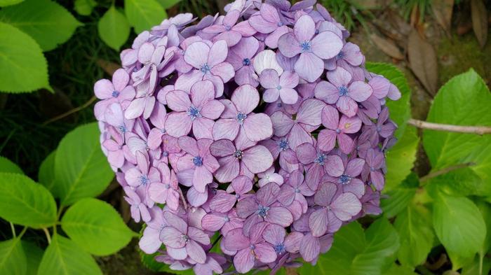 6月26日（金）部活も徐々に本格化していました。