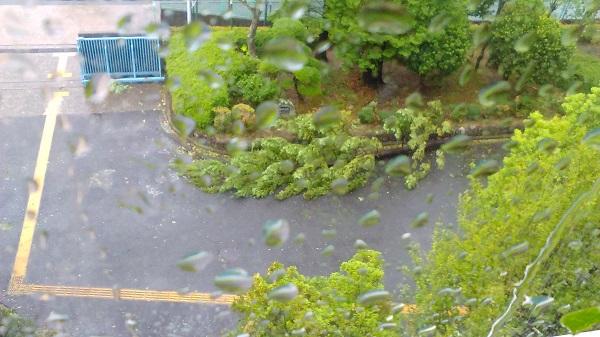 9月4日(火) 台風21号来襲~校内から見た景色は~