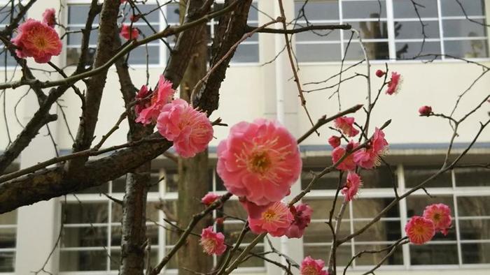 1月1日(火・祝)明けましておめでとうございます