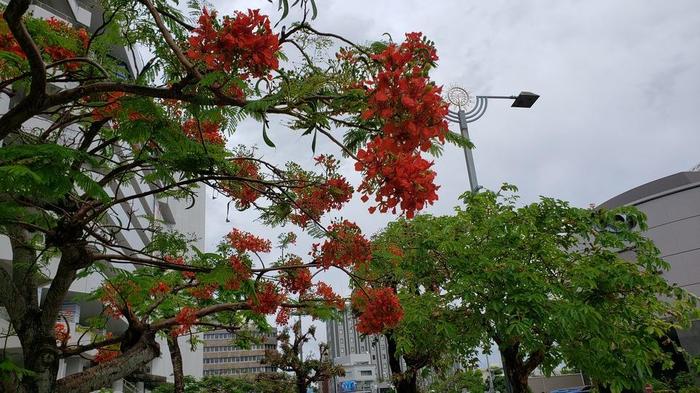 10月20日(日)43期生修学旅行第4日目 関西国際空港組からも、無事に到着したという連絡がありました