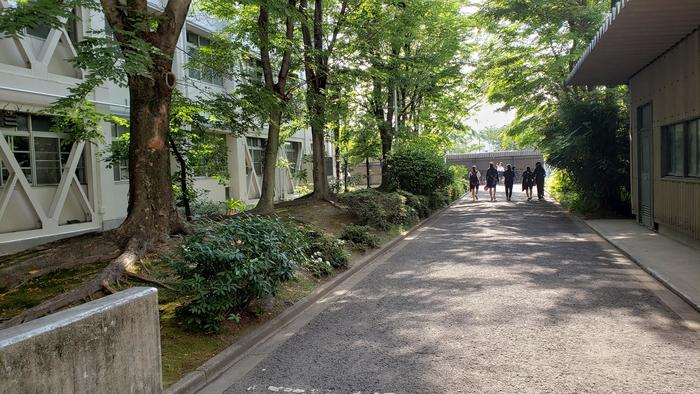6月6日(木)体育祭明けの登校の様子を見に行きました~1年生はポロシャツ制服姿が多数に