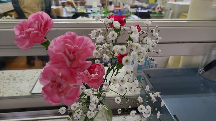 4月14日(水)2、3年生は健康診断を実施。『保健だより』で定期健康診断予定等が確認できます。