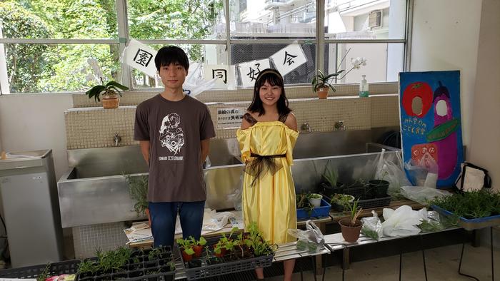 9月7日(土)牧高祭初日開催~園芸同好会は東渡り廊下1階で作物の販売