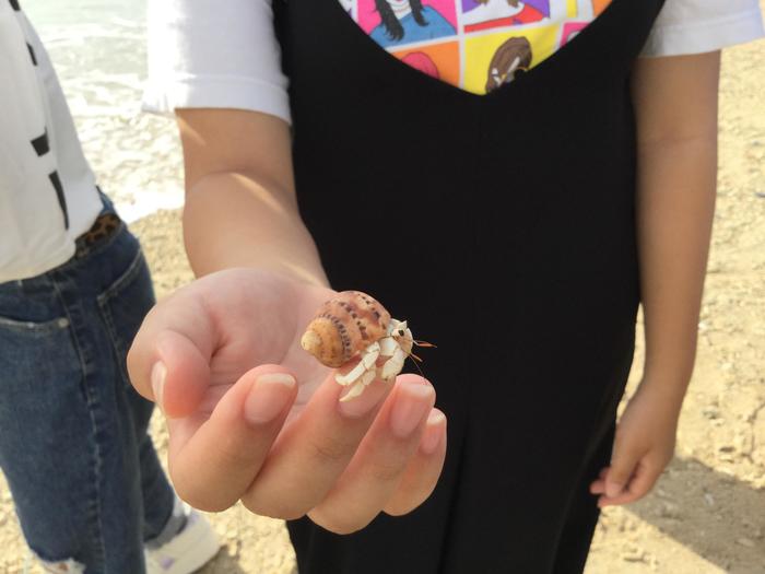 10月19日（土）43期生修学旅行第3日目 沖縄の小さな生き物たち