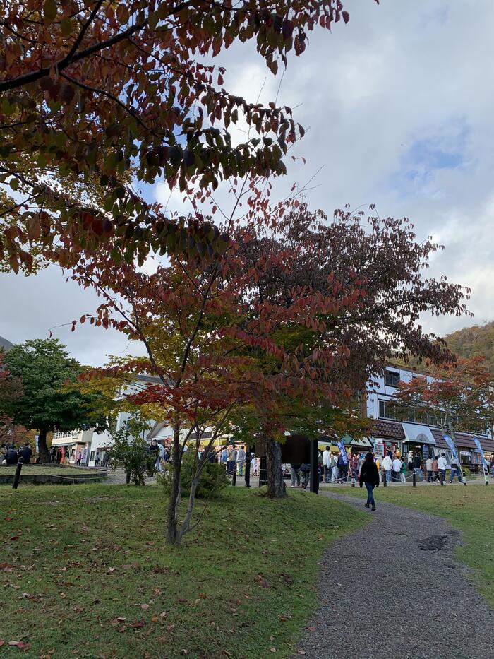 支笏湖出発