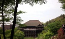武田?12.jpg