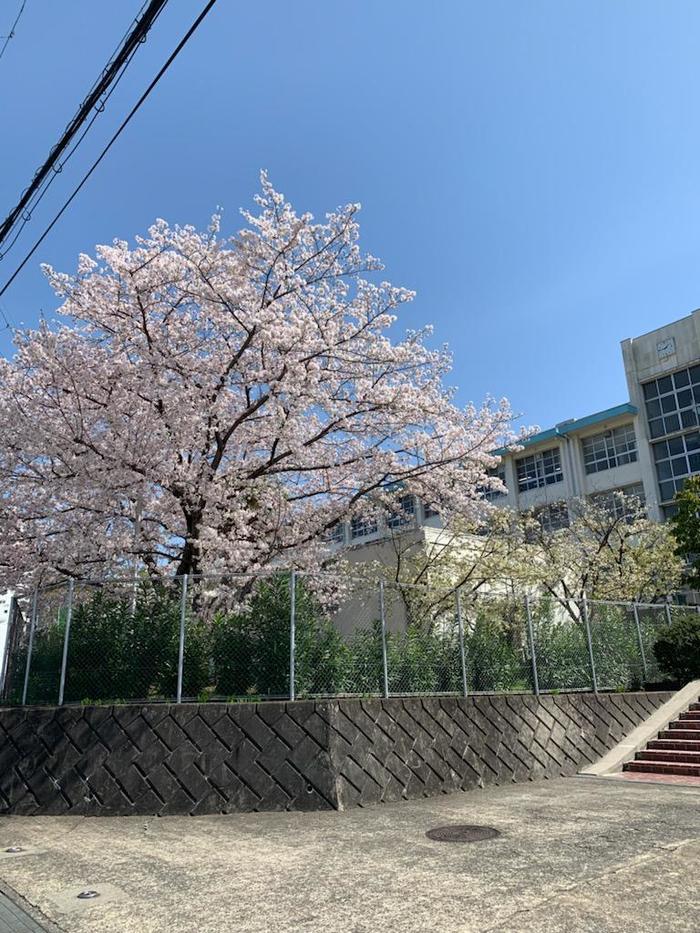 Vol1. 42期ブログ開始しました