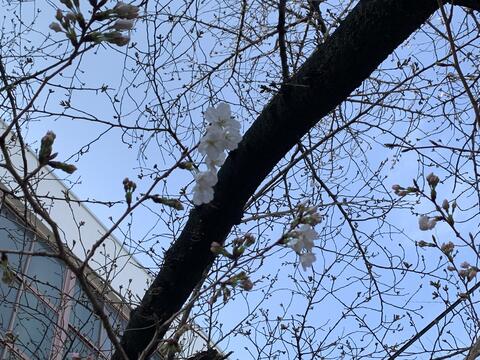 IMG_2193.jpeg