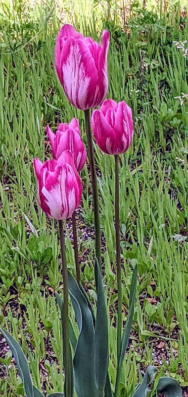 2020042206.jpg