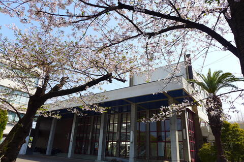 P1120676.JPG