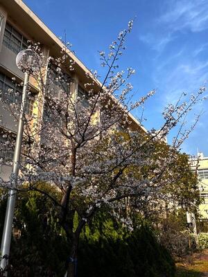 IMG_7352.JPG