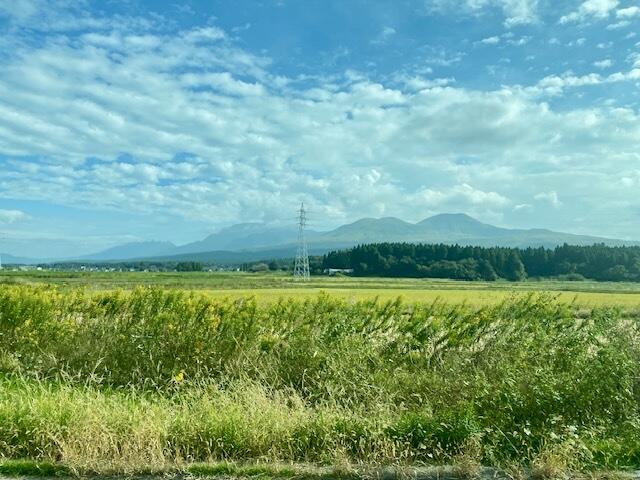 IMG_9926.jpeg
