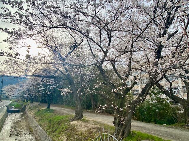 IMG_2141.jpeg