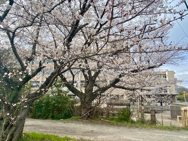 IMG_2140.jpeg