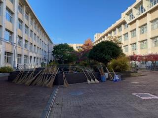 IMG_1628.jpeg
