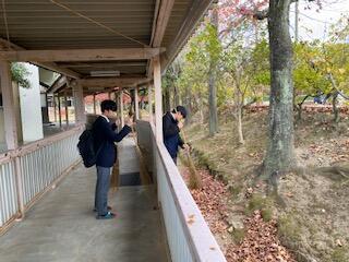 IMG_1629.jpeg
