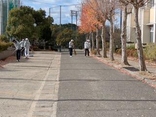 IMG_9376.jpeg