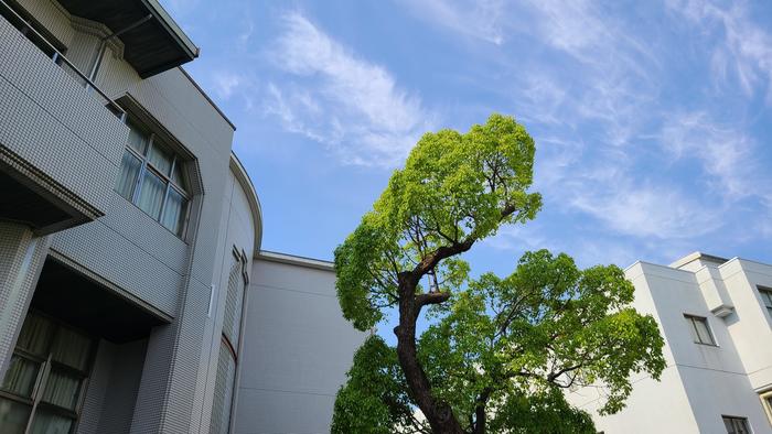 5月26日（木）中間考査最終日。部活のギターなどを担いで登校する生徒もいます。