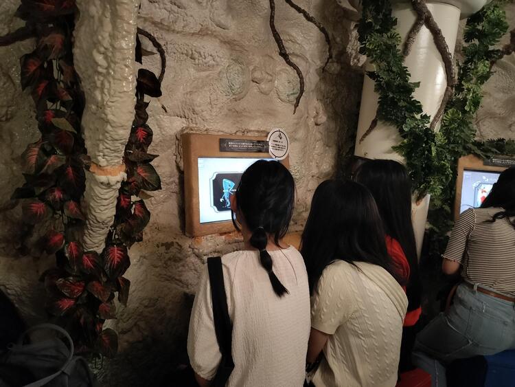 IMG20251030135406.jpg