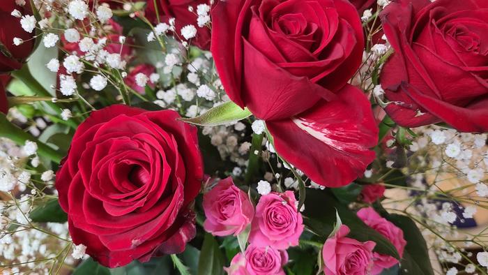 5月26日（木）午後から2年生は芸術鑑賞に。