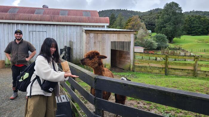 7月31日（水）Sheep worldとHoney Centerに遠足に行きました。③