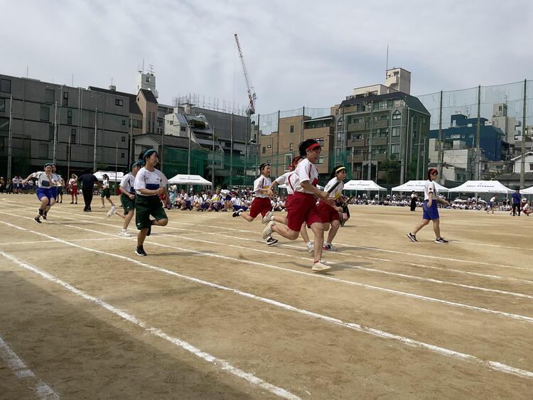 IMG_1208.jpeg