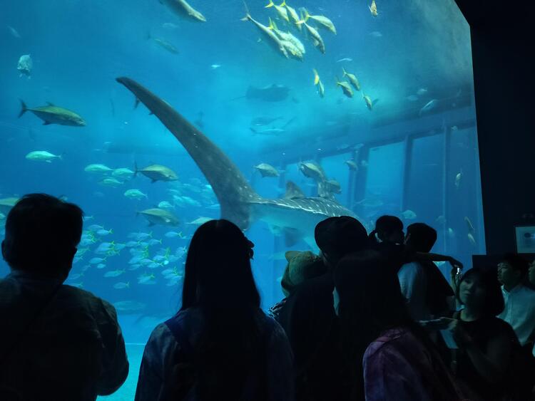 IMG20251030104031.jpg