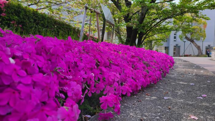 4月15日（月）生徒自治会役員と一緒にピロティ前で生徒に朝の挨拶をしました。