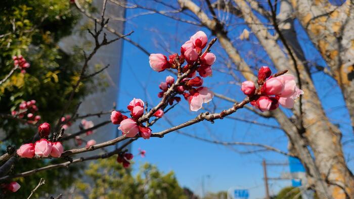 3月10日（金）令和5年度入学者選抜の学力検査が終わりました。