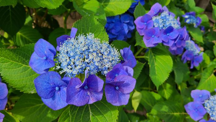 6月12日(日)清友会総会に出席しました。