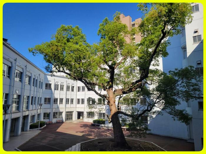 【私たちも出演】10月3日(月)から学校見学会の申し込みが始まります！#43