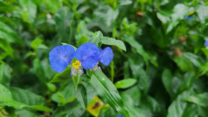 7月1日（月）期末考査が始まりました。