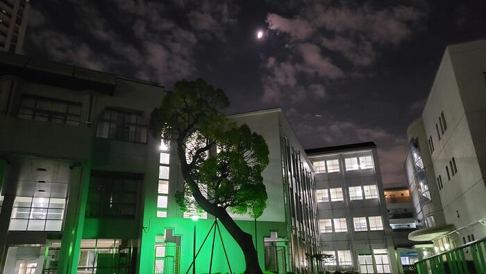 11月2日（水）校舎の南に半月。