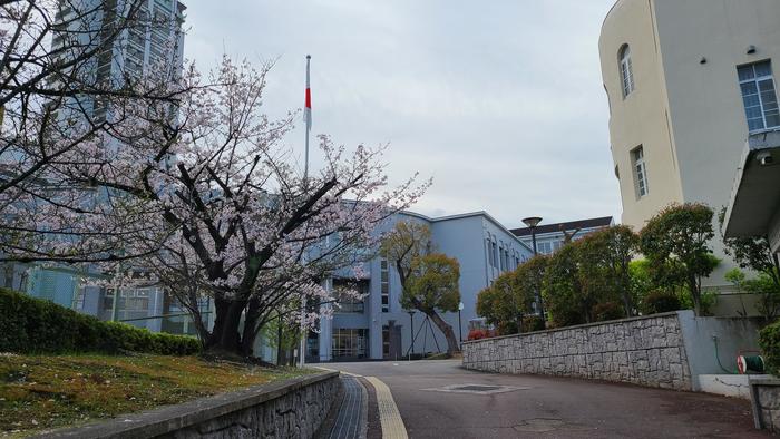 4月1日(金)青天を衝く挑戦を。優雅、堂々。日々是充実。清水谷高校。