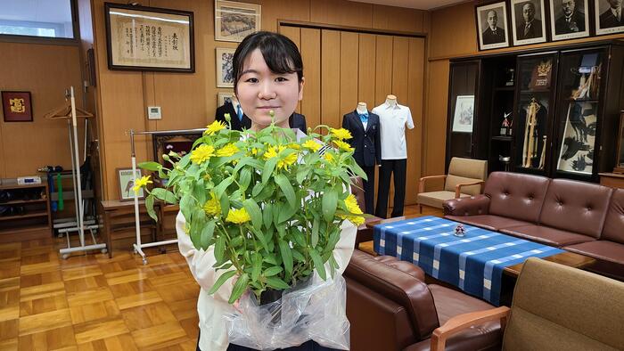 8月7日（水）全国大会に出場した将棋部の生徒から鉢植えの百日草をもらいました。