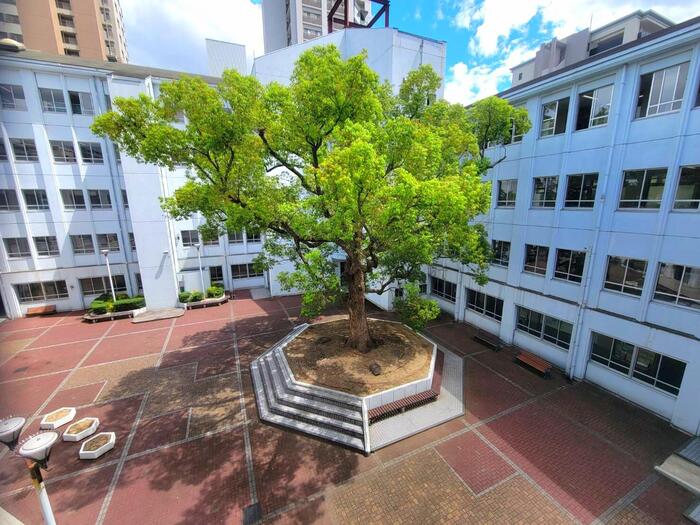 【お知らせ】第2回 学校見学会の申し込みが始まります！#113｜by M