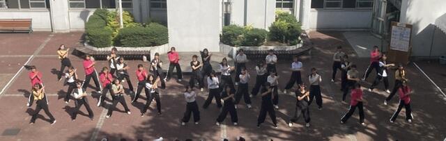 IMG_4044.jpeg