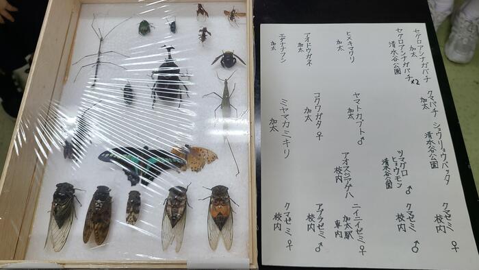 9月2日（金）文化祭1日目～自然科学部の展示を見学しました。