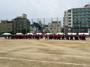 IMG_7918.JPG
