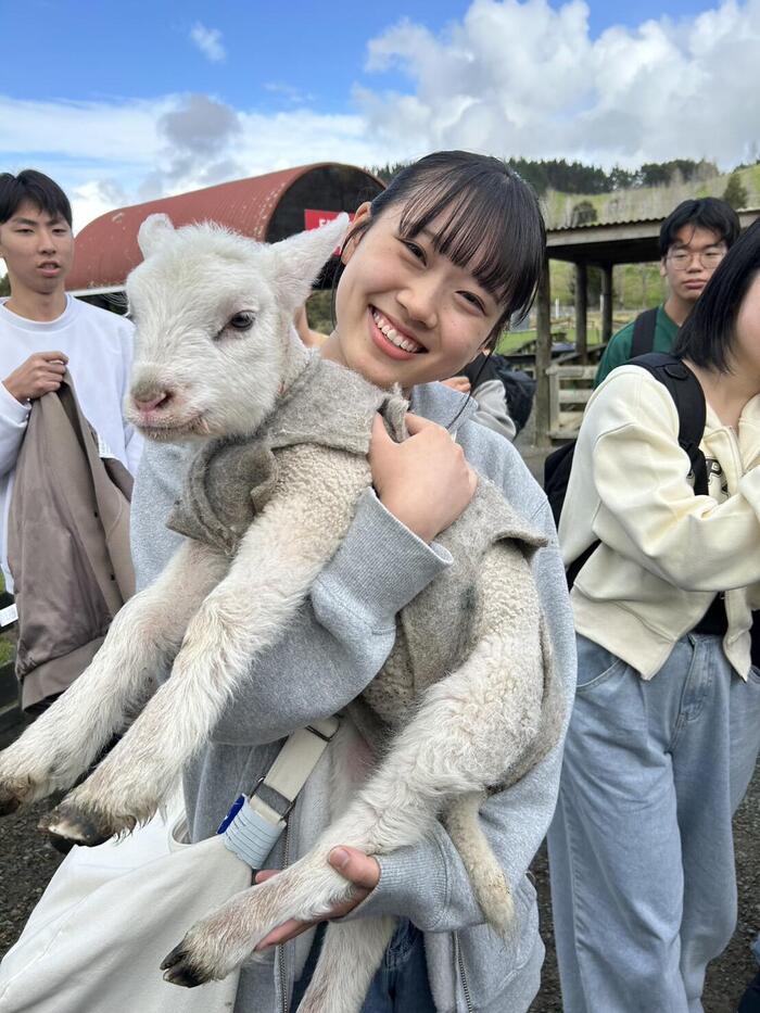 7月31日（水）Sheep worldとHoney Centerに遠足に行きました。②