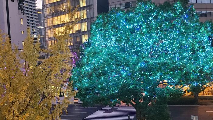 12月16日(月)水谷修さんの講演で改めてリストカットやオーバードウズの科学的な観点からの怖さを知りました。①