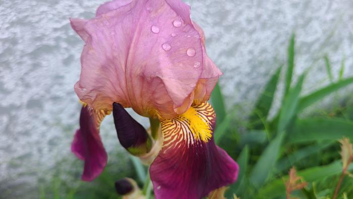 5月12日（木）遠足日。生憎の雨ですが。