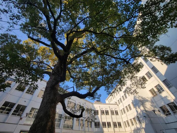 【学年末】まもなく学年末考査です #86｜by M
