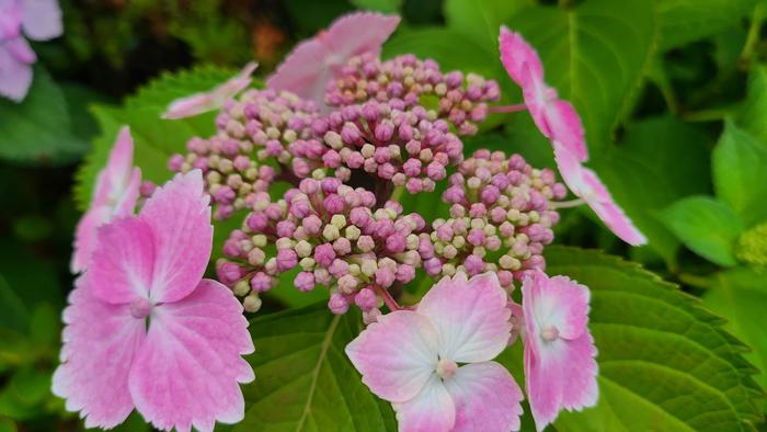 5月30日(月)教育実習が始まりました。