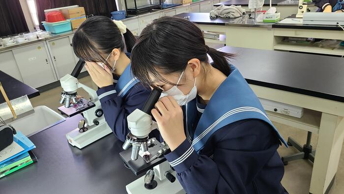 11月18日(金)1限に3年生の理系選択「生物」の実験を生物教室で見ました。