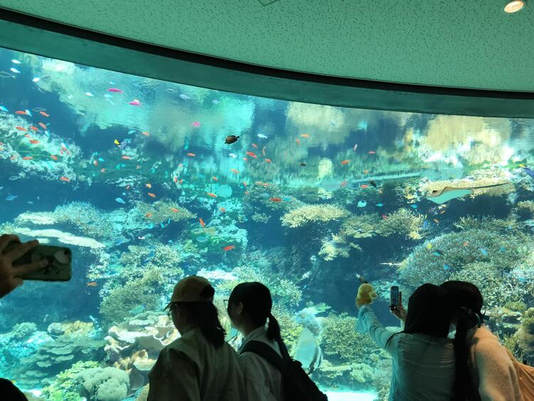 IMG20251030100503.jpg