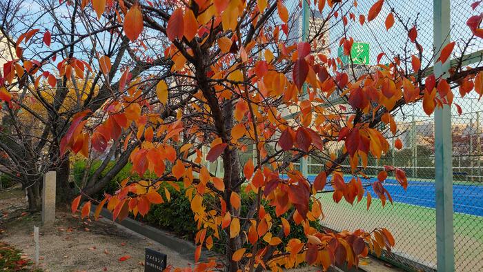11月30日（木）期末考査が始まりました。